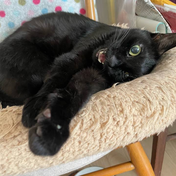 5254b7bf 9c47 4715 bd9b 481a726a5c0d 1755312969474