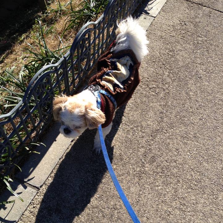 5254ebe8 8d2c 4b34 b3ef 213c89b9aac3 1520545726698