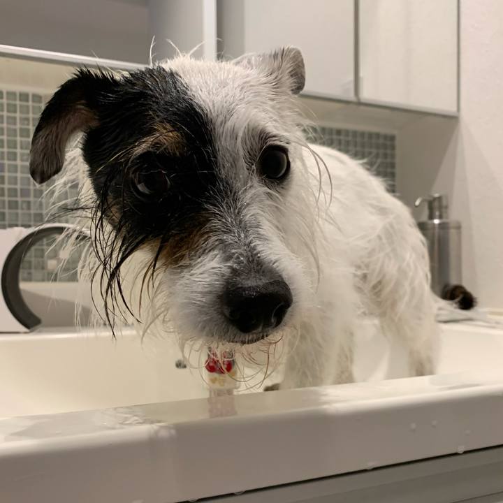 5254f7fa 863b 4563 9dcb fb9c5d8660f4 1685670463374