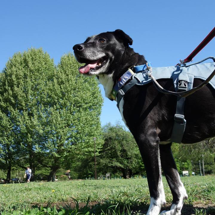 52551f24 e46c 48ea 8eb5 1ef3b213ce8e 1714004420568