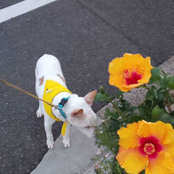 52552513 ff52 42f2 a901 89708730e669 1541021948776