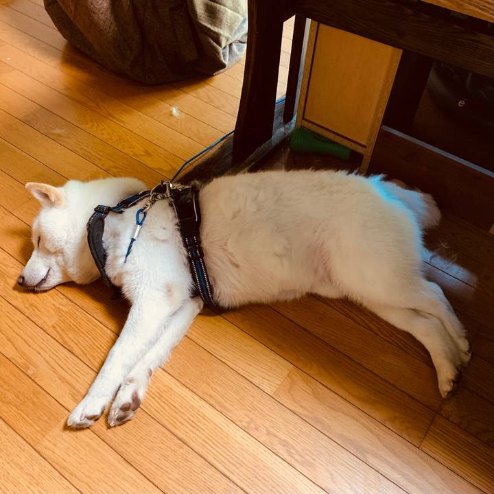 525529f7 5920 4c23 a67a 095e6f6afa17 1652996001877