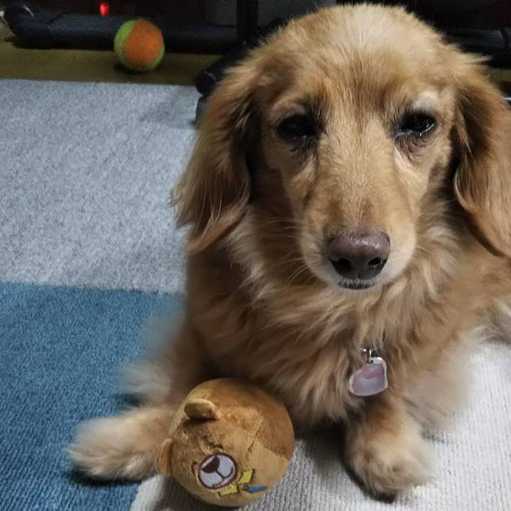 525535b7 7985 4e33 a2bc b9cc639aaf07 1575026446579