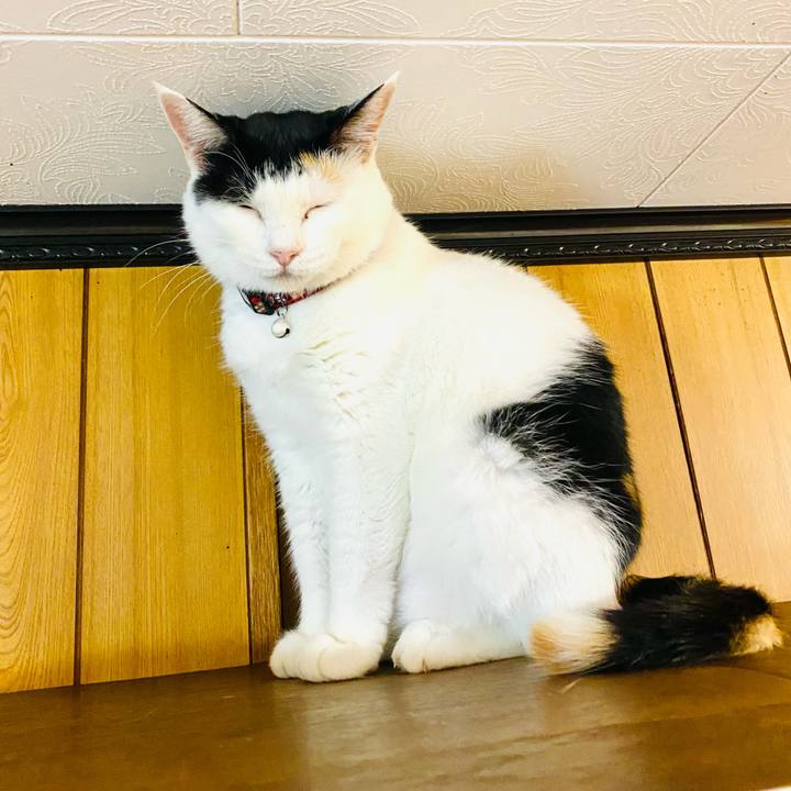 5255841f 0701 49e7 abdc 105aaab928d6 1661169085364