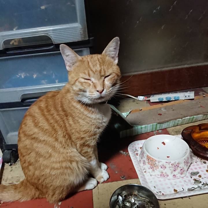 5255ae74 384c 4539 9577 2b7b1518b5eb 1566763510411