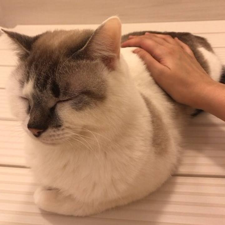 5255be8d 1733 4fd1 bada 48e6c8127e2c 1551874806969