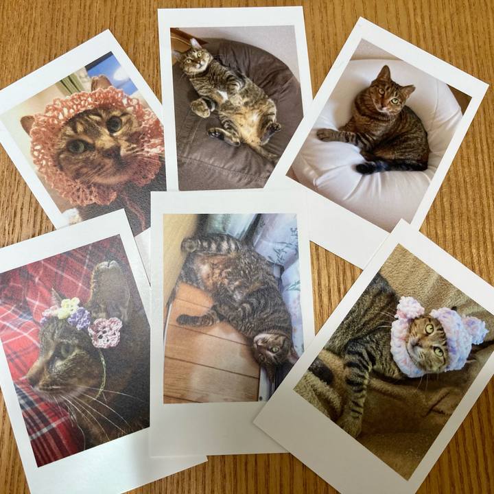 5255c7cb 08f1 441e abd5 2cd8968b0a54 1607749940242