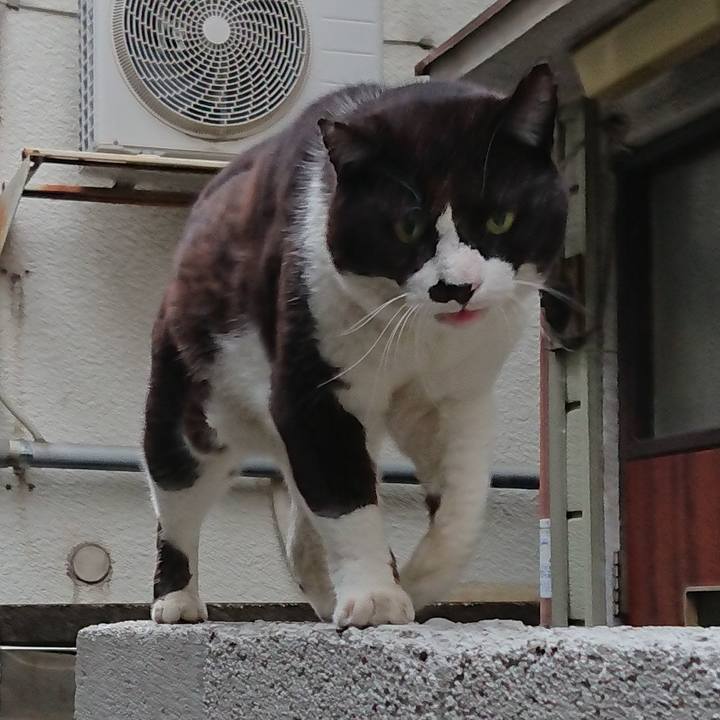 5255f1fc 02b5 4c11 8960 3c771d8a6ea2 1651047541351