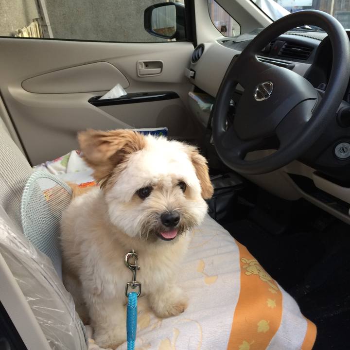 5256179b f849 4aff a599 e0c36f2d68bd 1574593194994