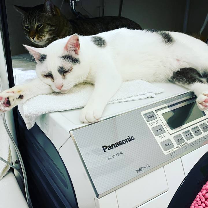 52561af9 4ebb 431d b6a1 efbf1be67b3a 1615209652545