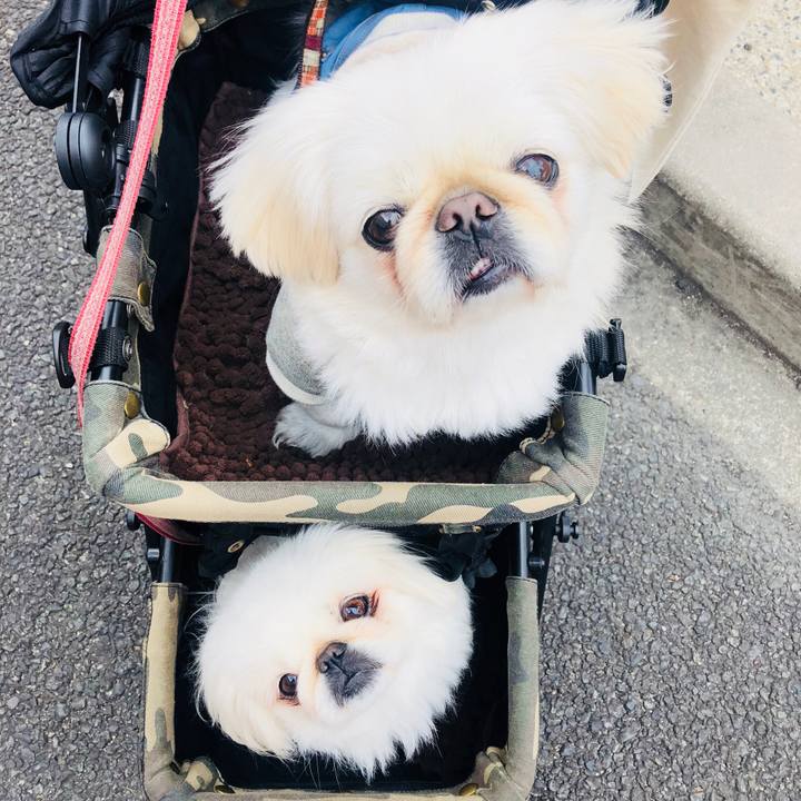 5256c44f fdf7 4e44 8f3a c6fee1dce9a5 1555212964011