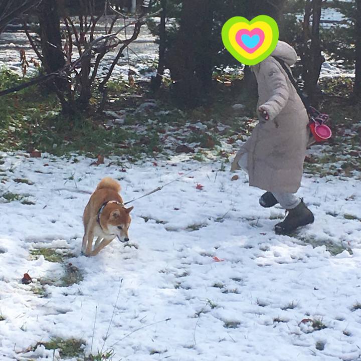 5256db12 7470 44c8 a2f5 5c2061b480bf 1510968208815