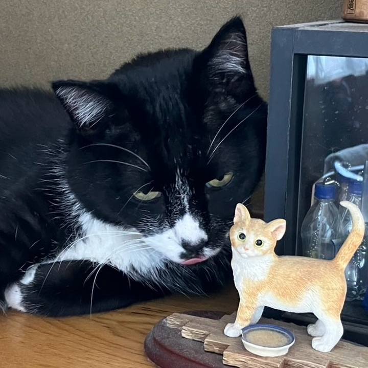 5257067e 9ae0 42fa a55c 697d21d987d0 1758084539273