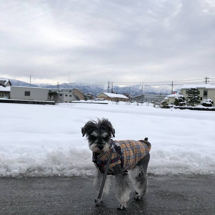 52572f77 6331 4d0a 8b2b fe9ea21c055d 1640746940227