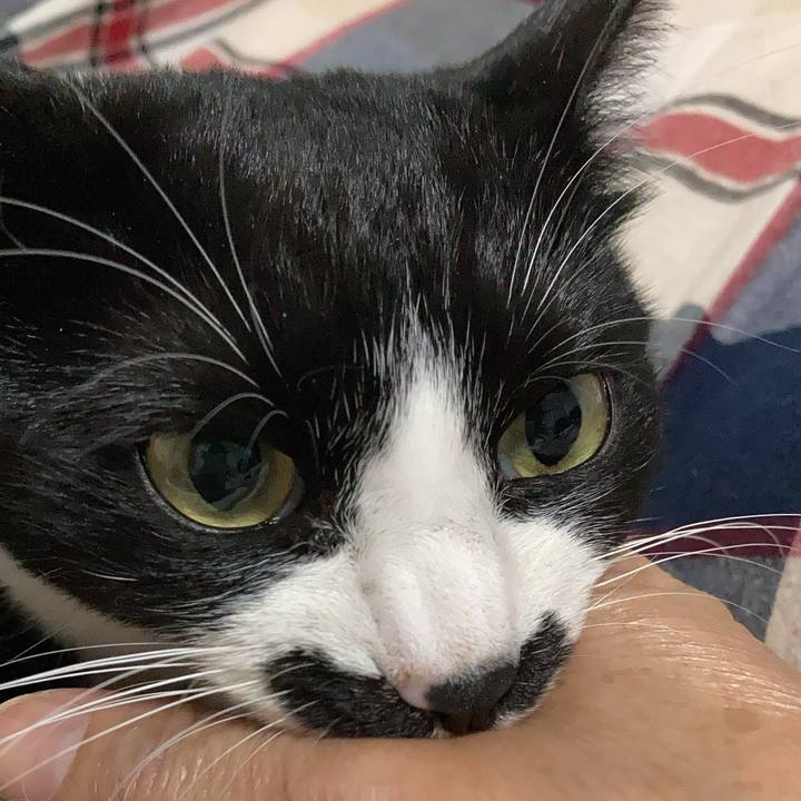 52577ab8 58d1 4720 be5d 0840b659b937 1713109540349