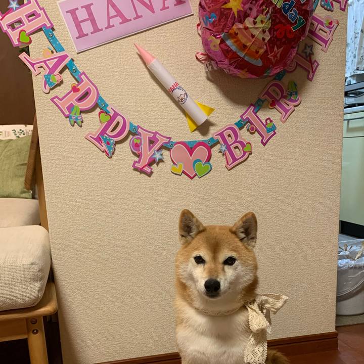 5257801c 8cb1 418f 94dc 92e889faab3e 1598962094043