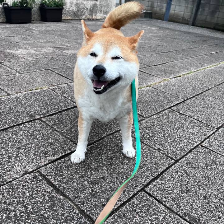 5257b04e e8de 4c8f 91da 45327a72b58f 1716888057455