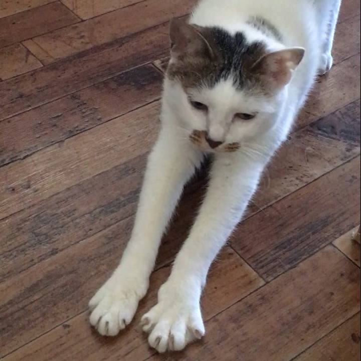 5257b2c8 3fc2 4704 bf54 65758eae56d5 1512355823735