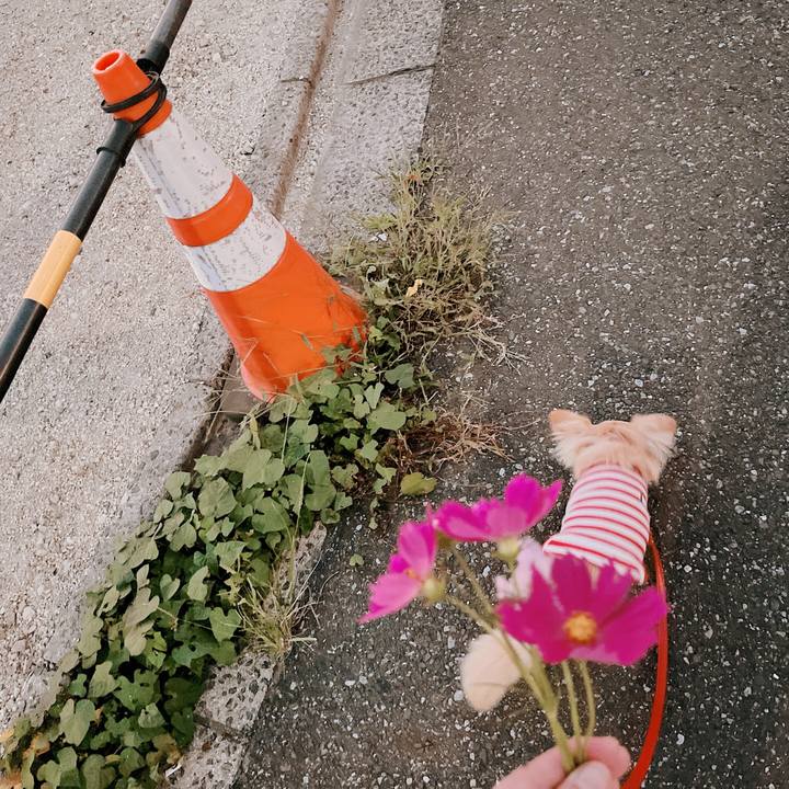 52581d5d 689a 4f85 adb2 7f10877da024 1664271315499