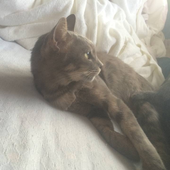 525860eb cf43 4f67 b65e 27b16080cddf 1569918849197