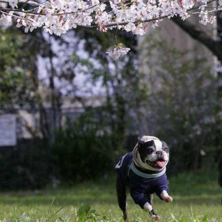 52586fd7 7f13 451e b9bb 851706b5194c 1554608616011