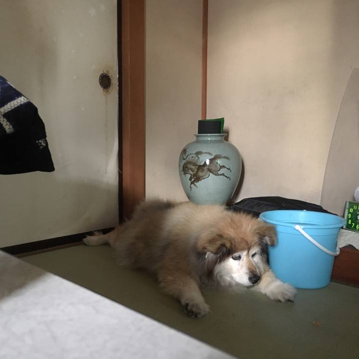 5258aa79 42b9 4f0d a24d 83b366e93c32 1549781382749