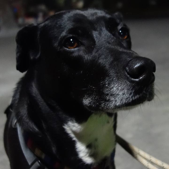 5258ffe4 7f56 4a26 a3a5 4953db02c28c 1646822907511