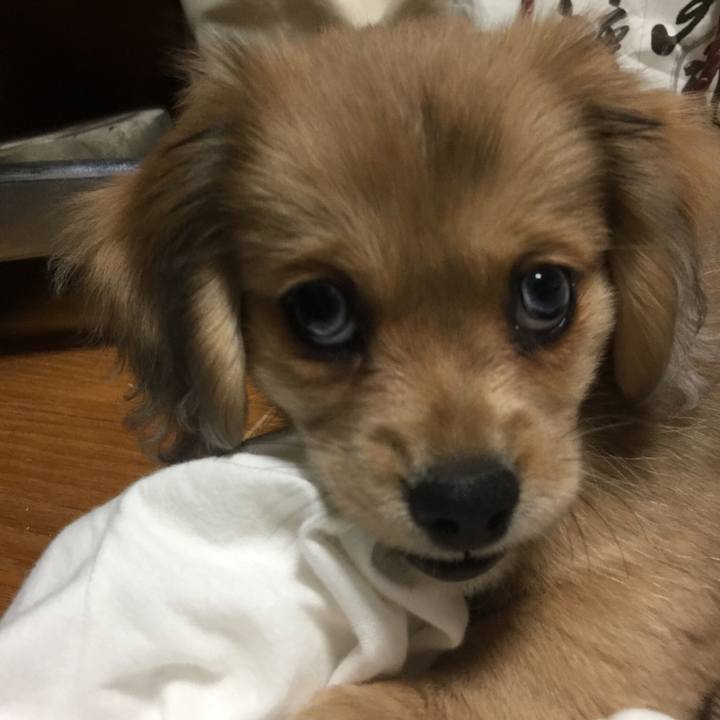 52590ba5 4d5e 45ef a203 3fec479a1b9d 1547872472387