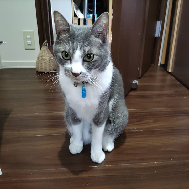 525917c5 dfa6 4b42 b0d8 117b7eba2a5f 1703034769607