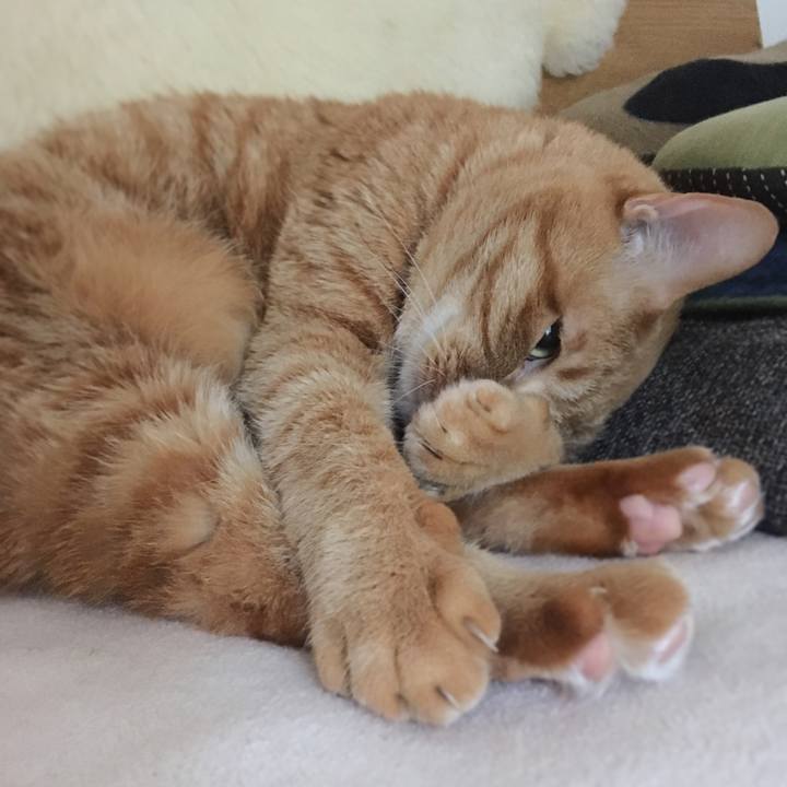 52594491 c9a1 43c2 b741 d25b47be36fe 1613693798685