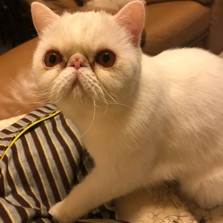 52594832 42d7 4659 882f e4f358d5f89d 1603286747062