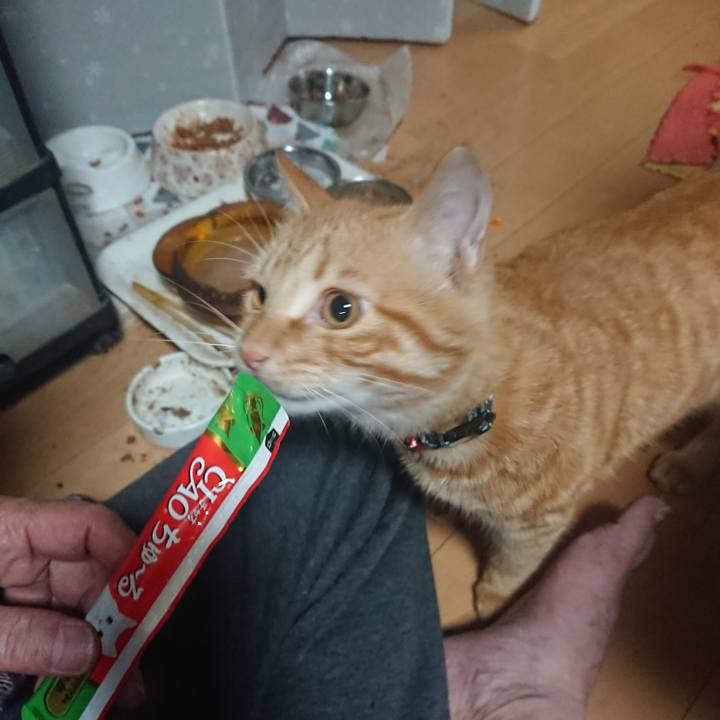 52594bcc 2b9a 4854 b362 0e749b2c702e 1639309072355