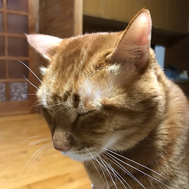 52594f87 b26d 4059 9bc2 d96c98ca0a4e 1544103096417