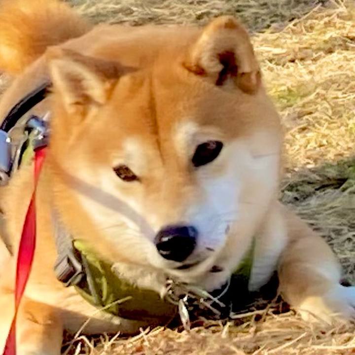 5259501f d301 4eaf 83df 1c8c31d4786e 1645583125675