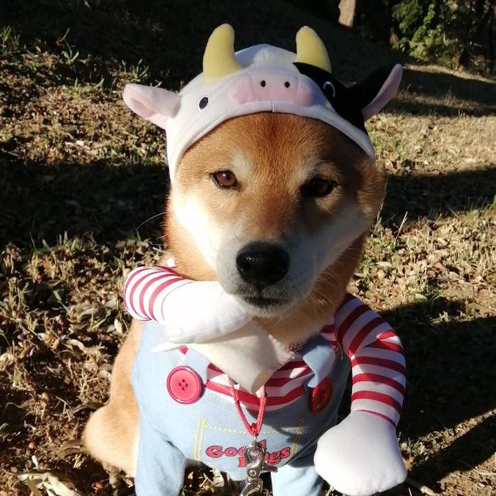 52595d3b 8cf4 42c5 872c 8ccbb9625cc8 1609483974872