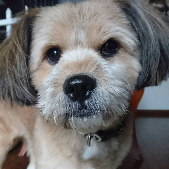 52598987 408a 4871 a35d 2450071944fc 1511954257360