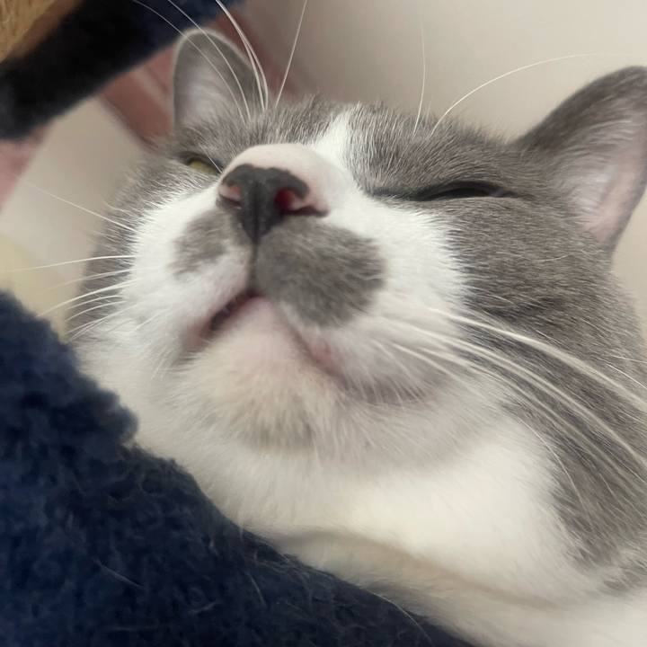 5259bb6b 6cc3 4a97 9ac9 3b5c45e2d296 1732063675280