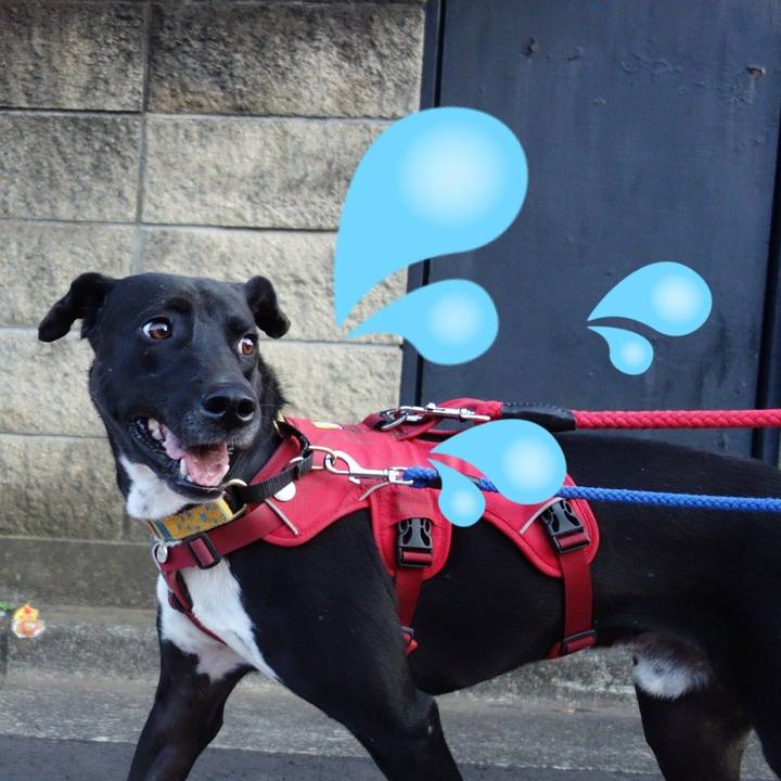 5259c2f3 801e 485f 8dbe e5def02685fa 1588850638232