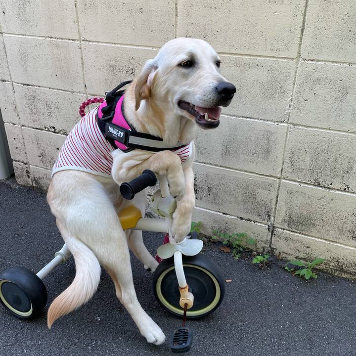 5259daef 5cef 44d0 ac79 7166c39ddbb8 1622450100500