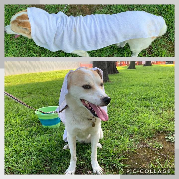 5259e425 62d1 4958 8661 8a7280f442fa 1564883973199