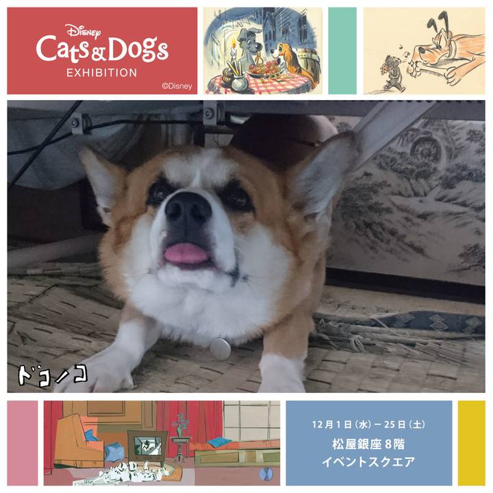 5259e916 0179 4ef4 8911 66a457592c92 1639747707112