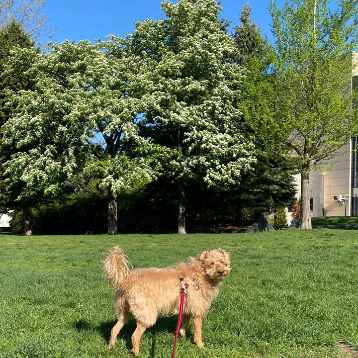 5259f4c2 d446 4a28 8748 5439efbe5dad 1652829270880