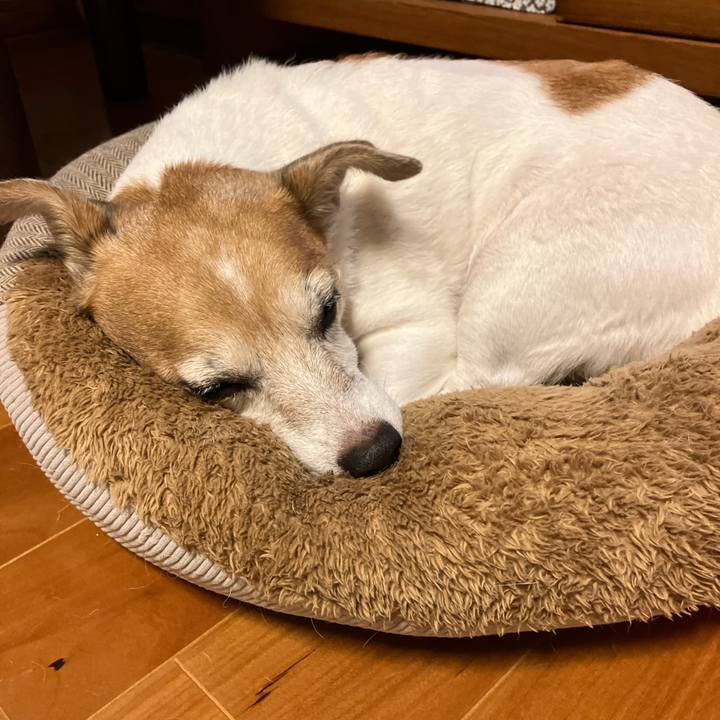 525a2b53 eade 480f 9fb5 56c805cf7989 1762082313287