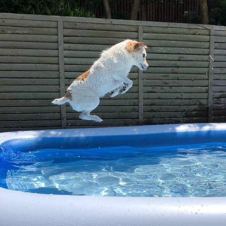 525a3cd1 bf8c 449d 9067 26574b200944 1564902503339