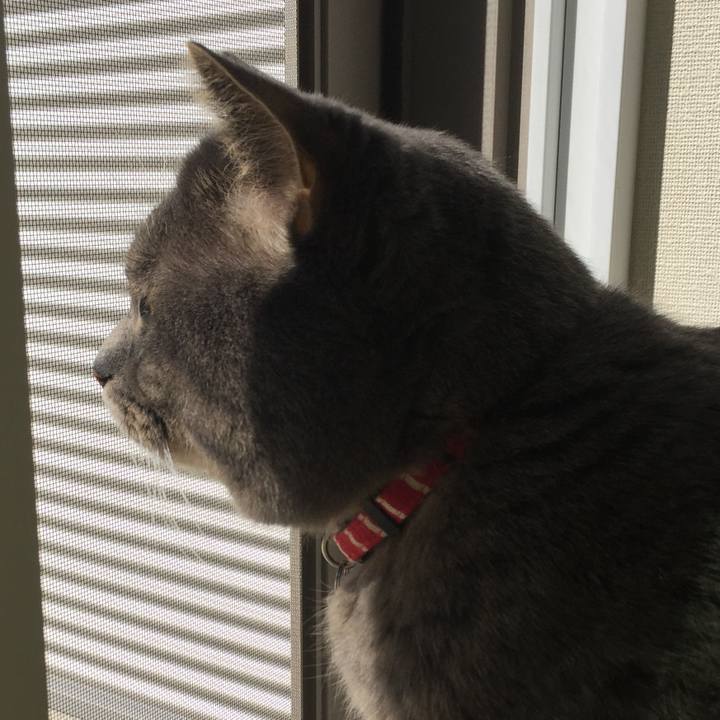 525a6eaa a090 4a98 96a3 ae752be21f06 1526529110394