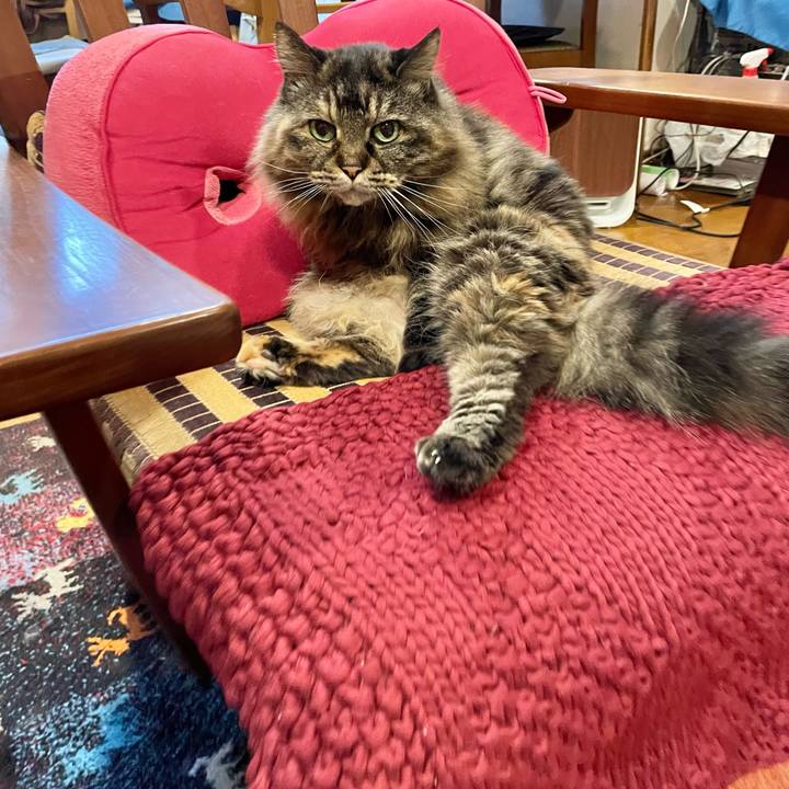 525aabbb 63c9 403e a441 e37d0533673e 1704195631994