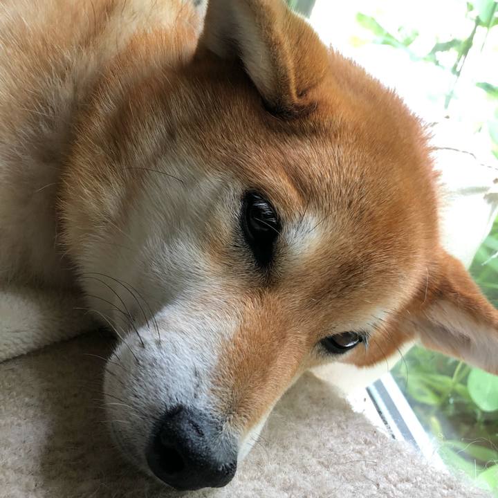 525ab0a1 82b7 4669 9ffd f7efa4807f2f 1594444939138