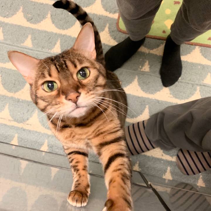 525adf88 ece8 4630 aab0 effd00dec44d 1576021318636