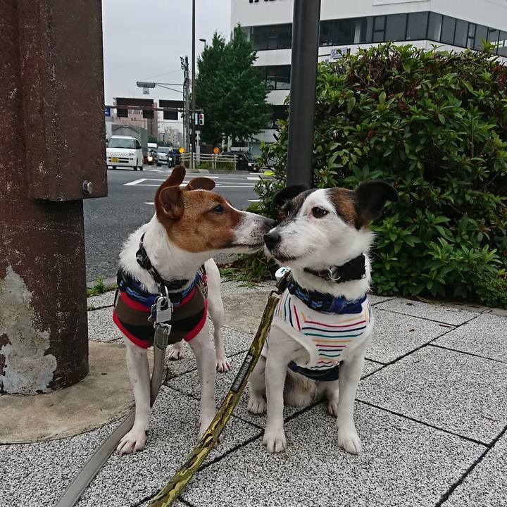 525b07b9 ccf7 4a9f b504 7a9f2691ad8f 1529273253326