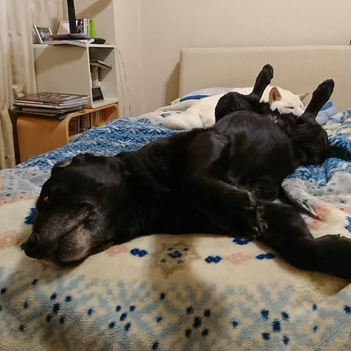 525b30bd 742d 4550 b26f dec84c575add 1549497738764